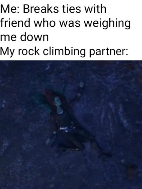 other other-memes other text: Me: Breaks ties with friend who was weighing me down My rock climbing partner: 