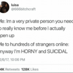 depression-memes depression text: luisa @666bitchcraft Me: 1m a very private person you need to really know me before I actually open up Me to hundreds of strangers online: anyway I