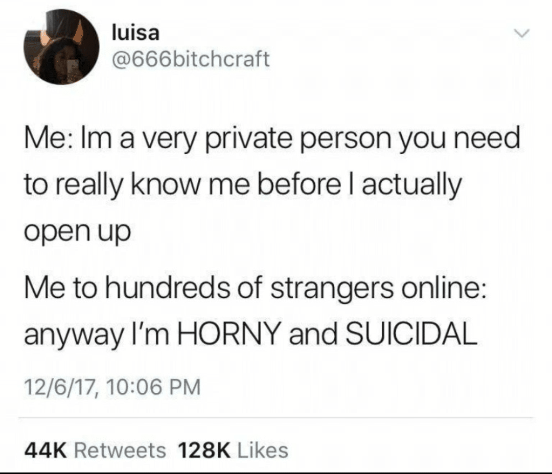 depression depression-memes depression text: luisa @666bitchcraft Me: 1m a very private person you need to really know me before I actually open up Me to hundreds of strangers online: anyway I'm HORNY and SUICIDAL 12/6/17, 10:06 PM 128K Likes 44K Retweets 