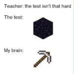 minecraft-memes minecraft text: Teacher: the test isn
