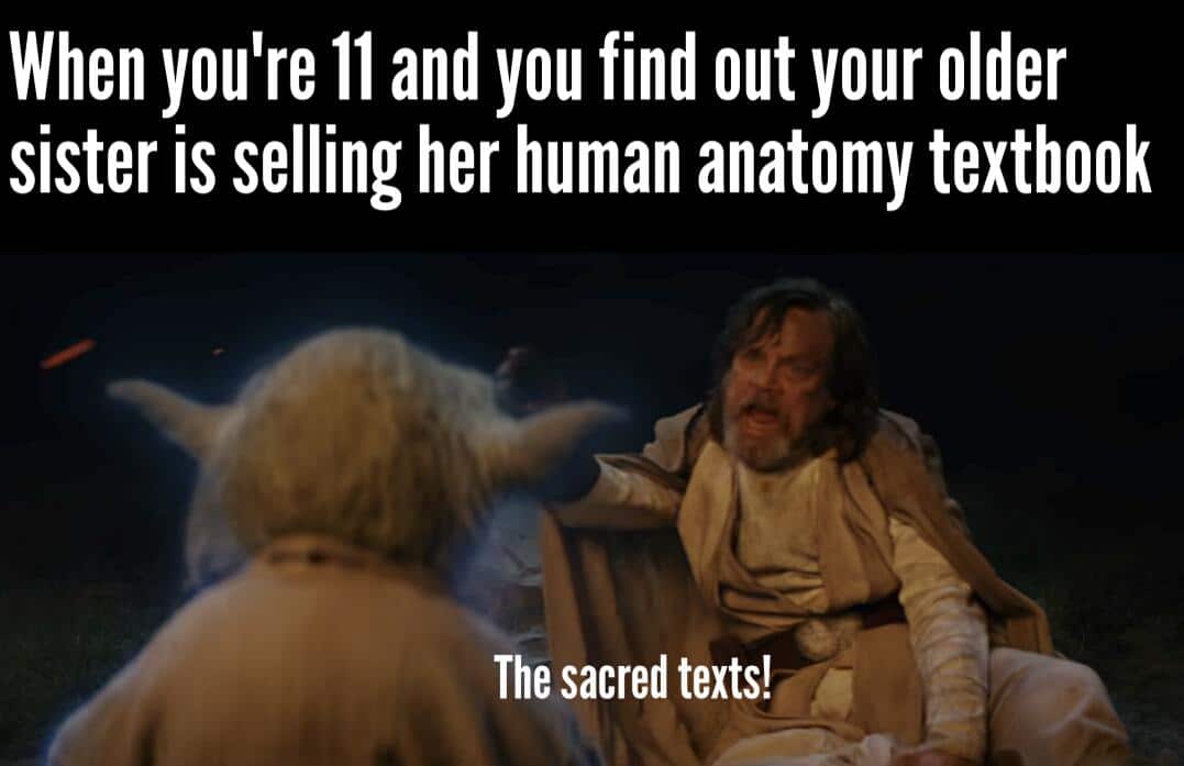 sequel-memes star-wars-memes sequel-memes text: When you're Il and you find out your older sister is selling her human anatomy textbook The sacred texts! 