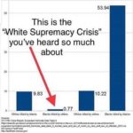 political-memes political text: 53.94 50 This is the "White Supremacy Crisis" you