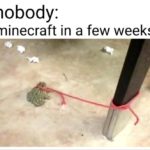 minecraft-memes minecraft text: nobody: minecraft in a few weeks:  minecraft