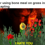 minecraft-memes minecraft text: Me after using bone meal on grass instead of my sapling I HATE YOU  minecraft