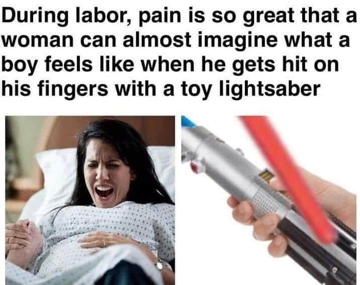 Dank Meme dank-memes cute text: During labor, pain is so great that a woman can almost imagine what a boy feels like when he gets hit on his fingers with a toy lightsaber 