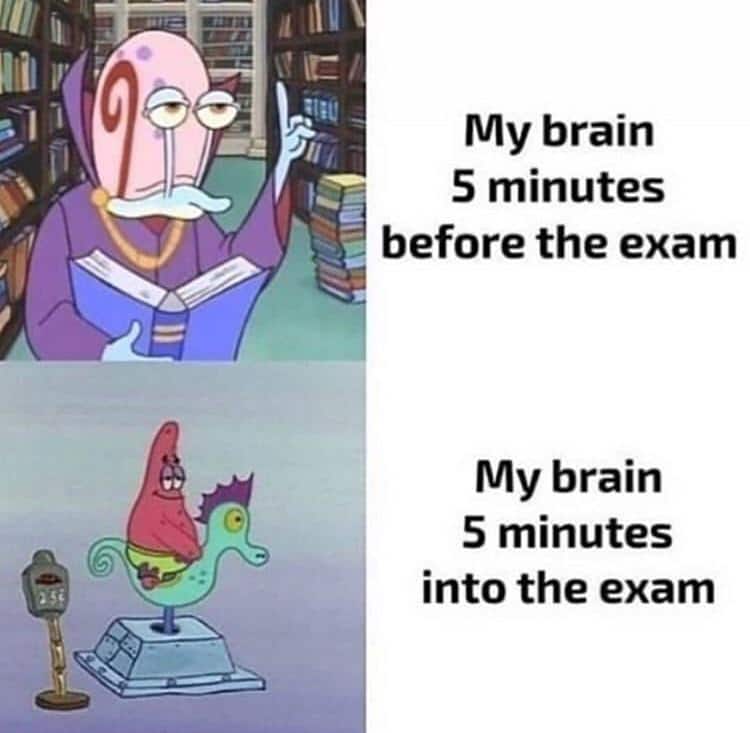 spongebob spongebob-memes spongebob text: My brain 5 minutes before the exam My brain 5 minutes into the exam 
