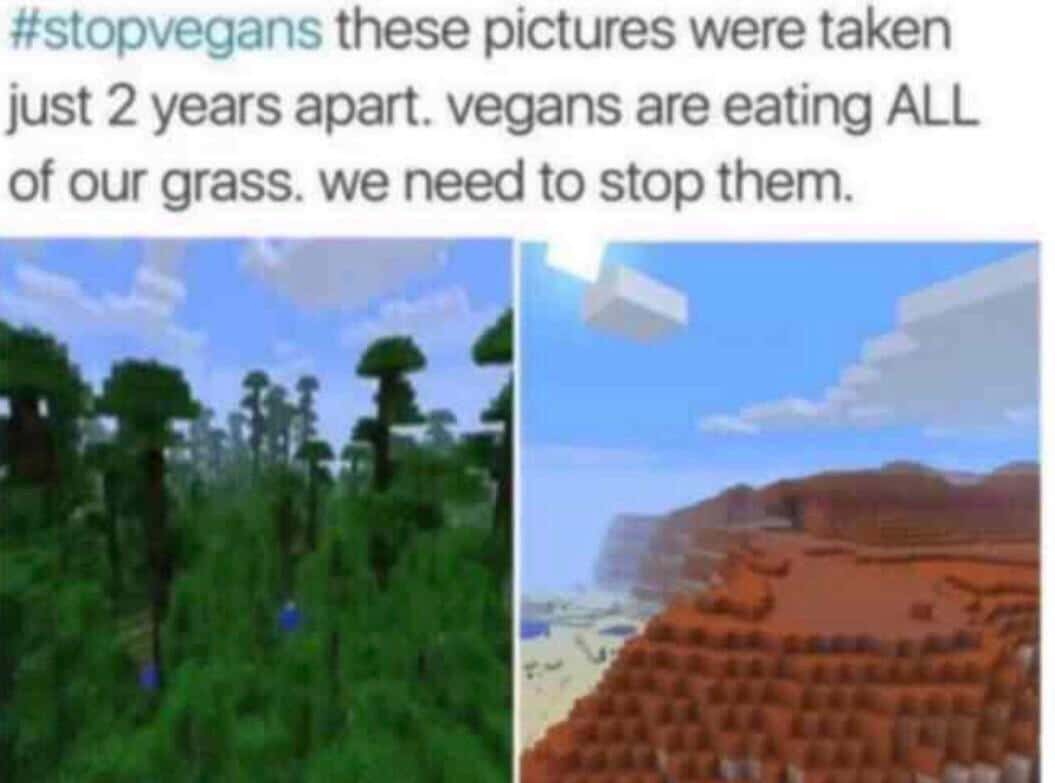 minecraft minecraft-memes minecraft text: #stopvegans these pictures were taken just 2 years apart. vegans are eating ALL of our grass. we need to stop them. 