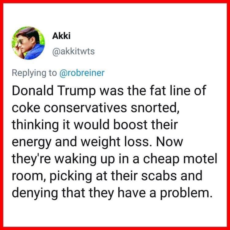 political political-memes political text: Akki @akkitwts Replying to @robreiner Donald Trump was the fat line of coke conservatives snorted, thinking it would boost their energy and weight loss. Now they're waking up in a cheap motel room, picking at their scabs and denying that they have a problem. 