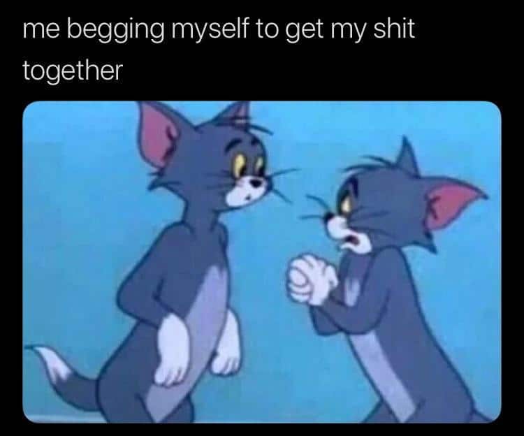 tom-and-jerry memes tom-and-jerry text: me begging myself to get my shit together 