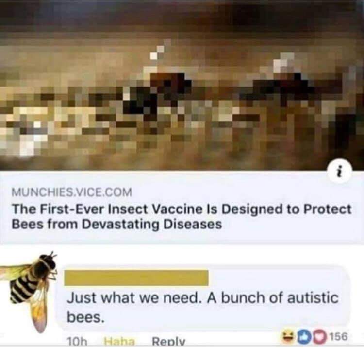 nsfw offensive-memes nsfw text: MUNCHIES.VICE.COM The First-Ever Insect Vaccine Is Designed to Protect Bees from Devastating Diseases Just what we need. A bunch of autistic bees. IOh H..ha Renlv 00156 