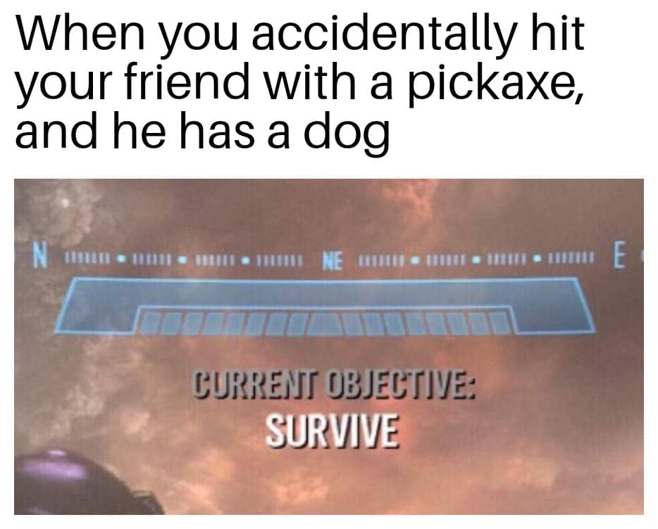 minecraft minecraft-memes minecraft text: When you accidentally hit your friend with a pickaxe, and he has a dog SURVIVE 