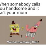spongebob-memes spongebob text: When somebody calls you handsome and it isn