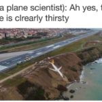 water-memes thanos text: Me (a plane scientist): Ah yes, the plane is clrearly thirsty  thanos