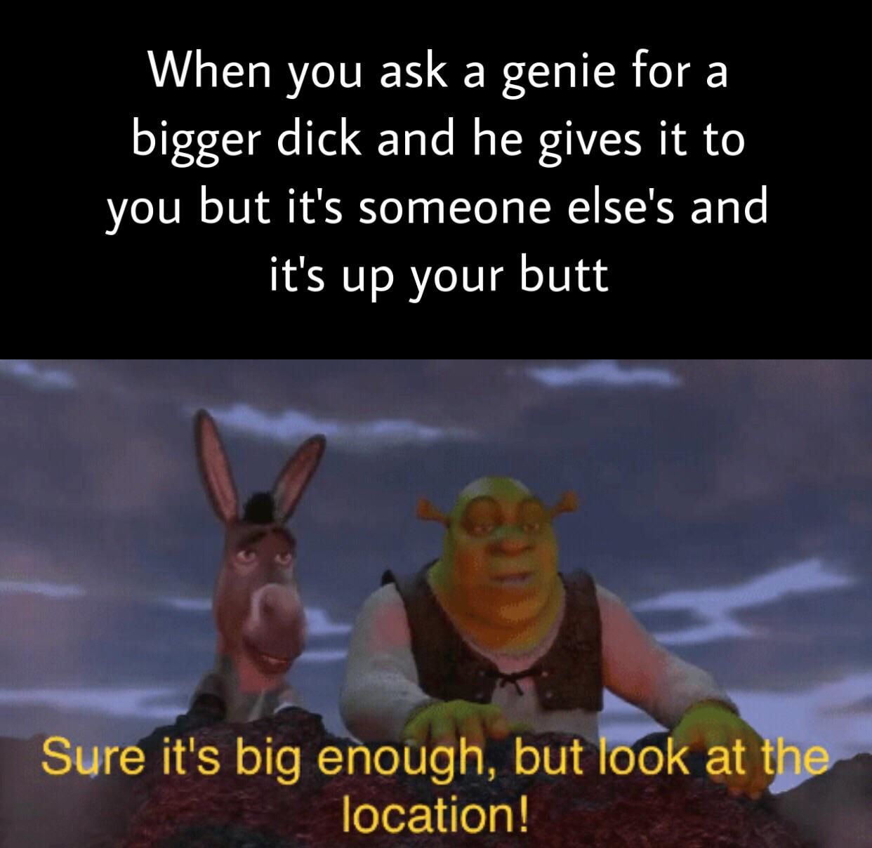 Dank Meme dank-memes cute text: When you ask a genie for a bigger dick and he gives it to you but it's someone else's and it's up your butt Sure it's big enough, but 106k ath location! 