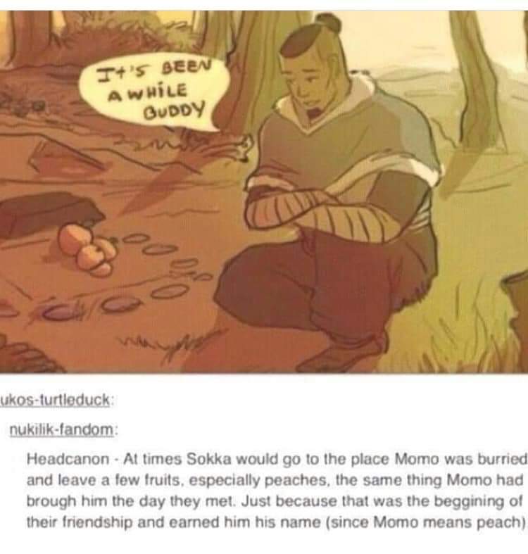 cute wholesome-memes cute text: •eeæ uKosztufl\oduc8 Headcanon • At times Sokka would go to the place Momo was burried and leave a few fruits. especially peaches, the same thing Momo had brough him the day they met. Just because that was the beggining of their friendship and eamed him hrs name (since Momo means peach) 