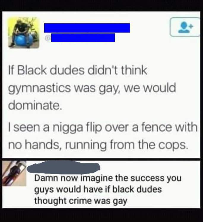 nsfw offensive-memes nsfw text: If Black dudes didn't think gymnastics was gay, we would dominate. I seen a nigga flip over a fence with no hands, running from the cops. Damn now magine the success you guys would have if black dudes thought crime was gay 
