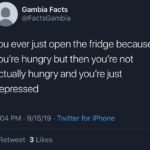 depression-memes depression text: Gambia Facts @FactsGambia you ever just open the fridge because you