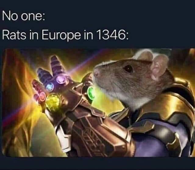 thanos avengers-memes thanos text: No one: Rats in Europe in 1346: 