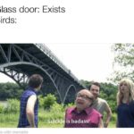 dank-memes cute text: Glass door: Exists Birds: Sufi* is badassr  Dank Meme