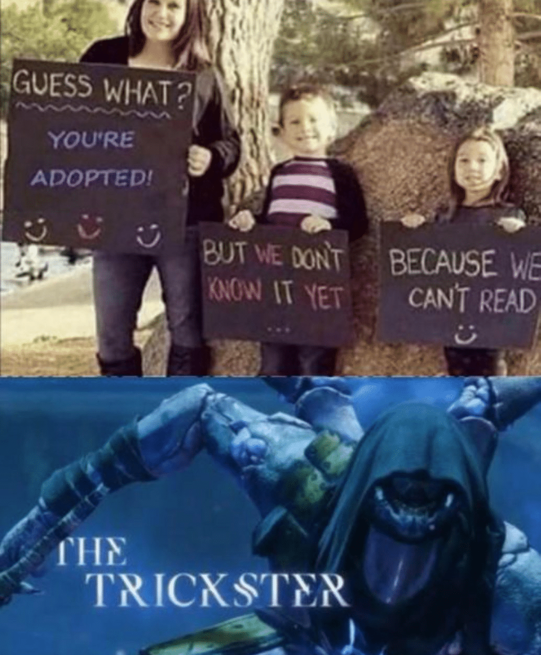 Dank Meme dank-memes cute text: GUESS WHAT ? YOU'RE ADOPTED! BUT TRICKSTER BECAUSE READ 