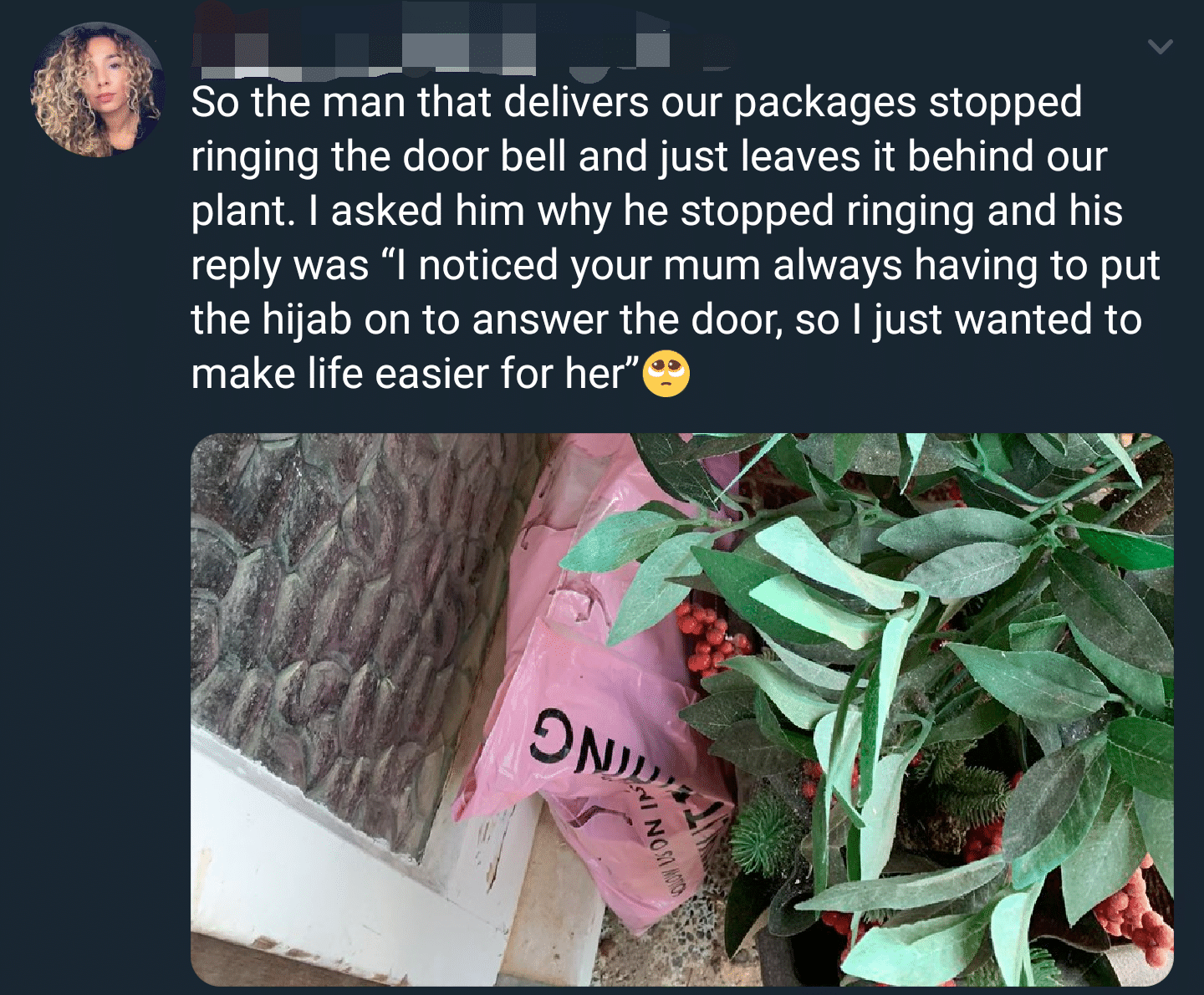 cute wholesome-memes cute text: So the man that delivers our packages stopped ringing the door bell and just leaves it behind our plant. I asked him why he stopped ringing and his reply was 