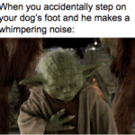 star-wars-memes prequel-memes text: When you accidentally step on your dog