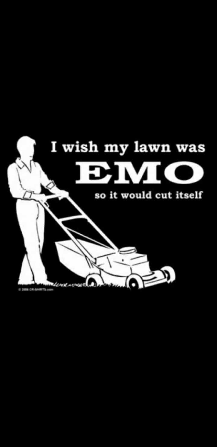 nsfw offensive-memes nsfw text: I wish my lawn was EMO so it would cut itself 