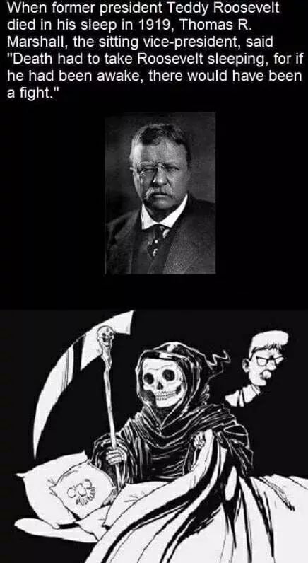 Dank Meme dank-memes cute text: When former president Teddy Roosevelt died in his sleep in 1919, Thomas R. Marshall, the sitting vice-president, said 