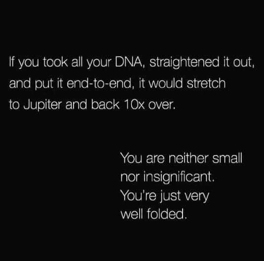 cute wholesome-memes cute text: If you took all your DNA, straightened it outi and put it end-to-end, it would stretch to Jupiter and back over. You are neither small nor insignificant. You're just very well folded, 