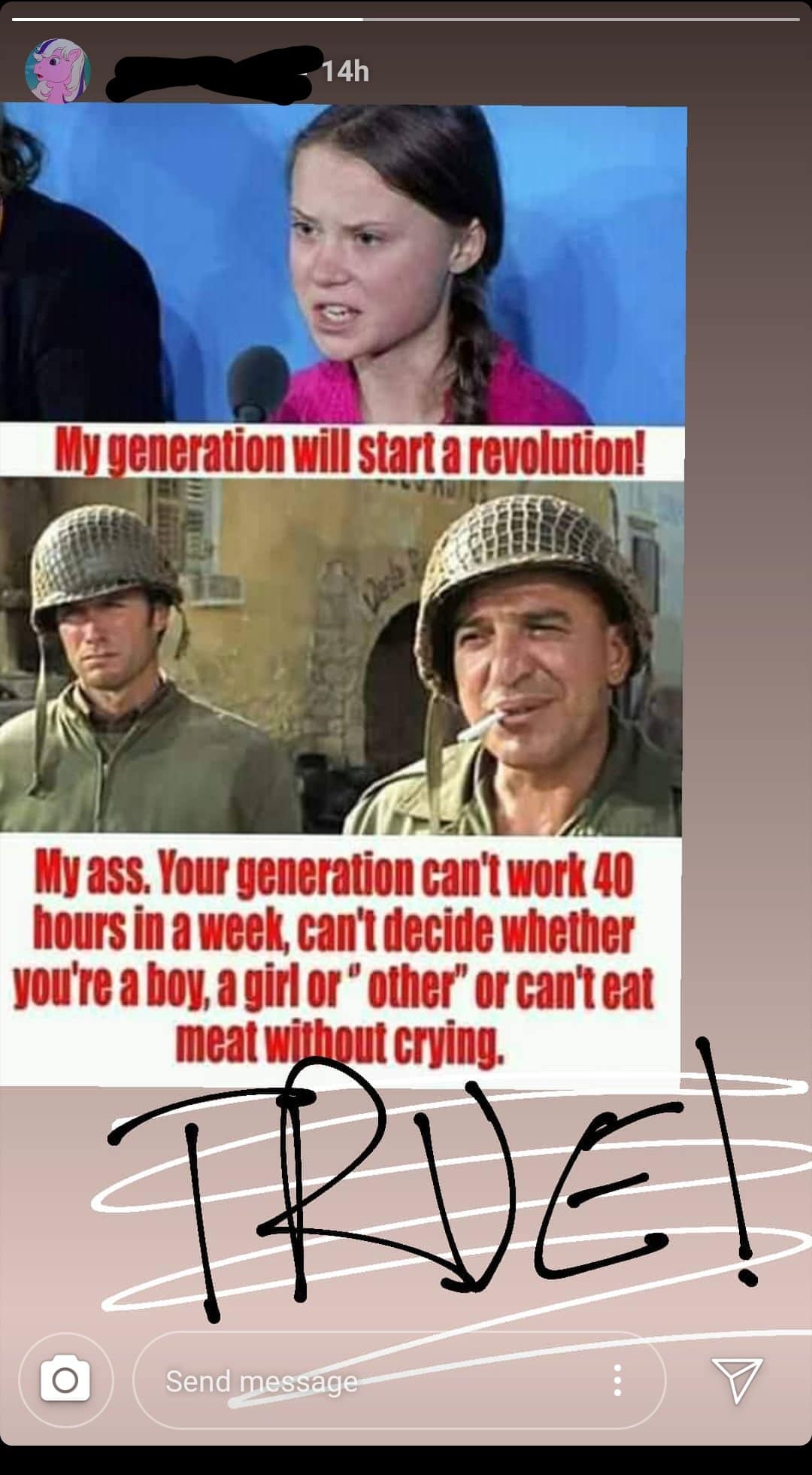 political boomer-memes political text: MY eneration will start a revolution! MY ass. Your generation cant work 40 hours in a weel cant decide whether youte a boy, a girl or other