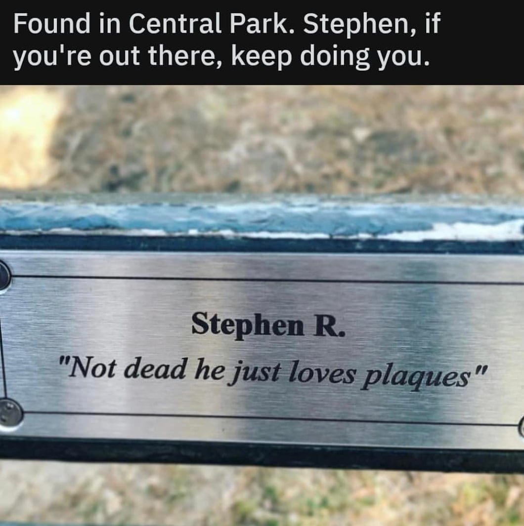 cute wholesome-memes cute text: Found in Central Park. Stephen, if you're out there, keep doing you. Stephen R. 