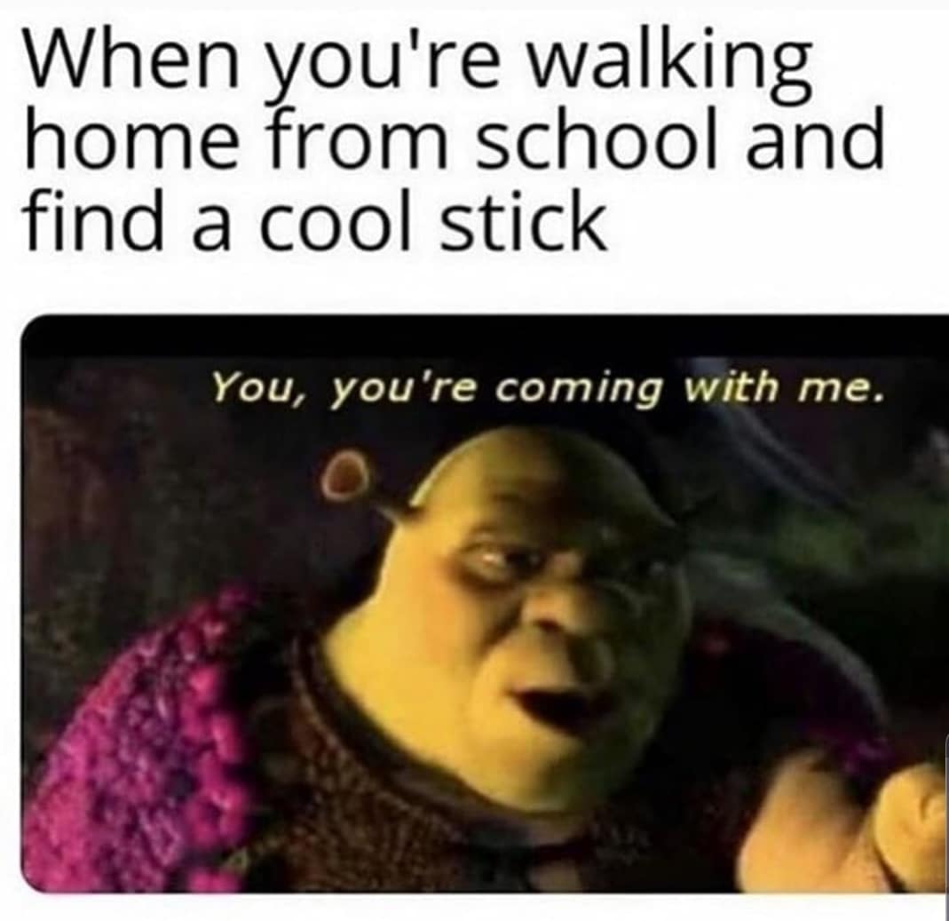 cute wholesome-memes cute text: When you're walking home from school and find a cool stick You, you're coming with me. 