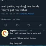 wholesome-memes black text: @arcadeseals genie: i shall grant you three wishes me: i wish my dog could talk genie: done me: [petting my dog] hey buddy you