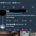 dank-memes cute text: Elon Musk O @elonmusk the color orange is named after the fruit 13:11 .09 Oct 19 • Twitter for iPhone 10.8K Retweets 84.2K Likes Sara Replying to @elonmusk 4h There