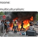 offensive-memes nsfw text: noone: multiculturalism:  nsfw