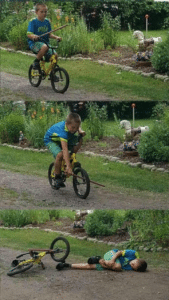 Putting stick in bike irl Bike meme template