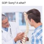 political-memes political text: Doctor: This is your spine GOP: sorry? A what?  political