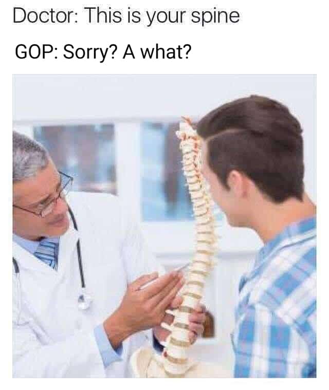 political political-memes political text: Doctor: This is your spine GOP: sorry? A what? 