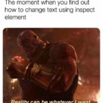 avengers-memes thanos text: The moment when you find out how to change text using inspect element Reality can be whatever I want.  thanos