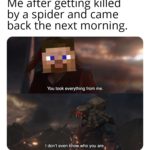 minecraft-memes minecraft text: Me after getting killed by a spider and came back the next morning. You took everything from me. I don