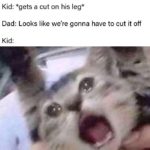 dank-memes cute text: Kid: *gets a cut on his leg* Dad: Looks like we