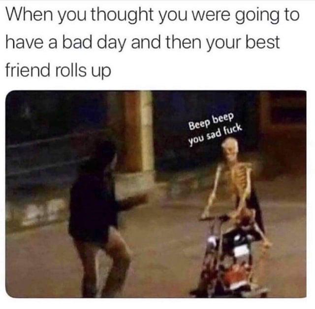 cute wholesome-memes cute text: When you thought you were going to have a bad day and then your best friend rolls up 