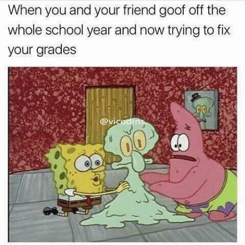 spongebob spongebob-memes spongebob text: When you and your friend goof off the whole school year and now trying to fix your grades 