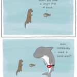 wholesome-memes cute text: @liz climo you know, a shark can smell a single drop of blood. 1 does some body / need a band-aid PI lizclimo.tumblr.com  cute