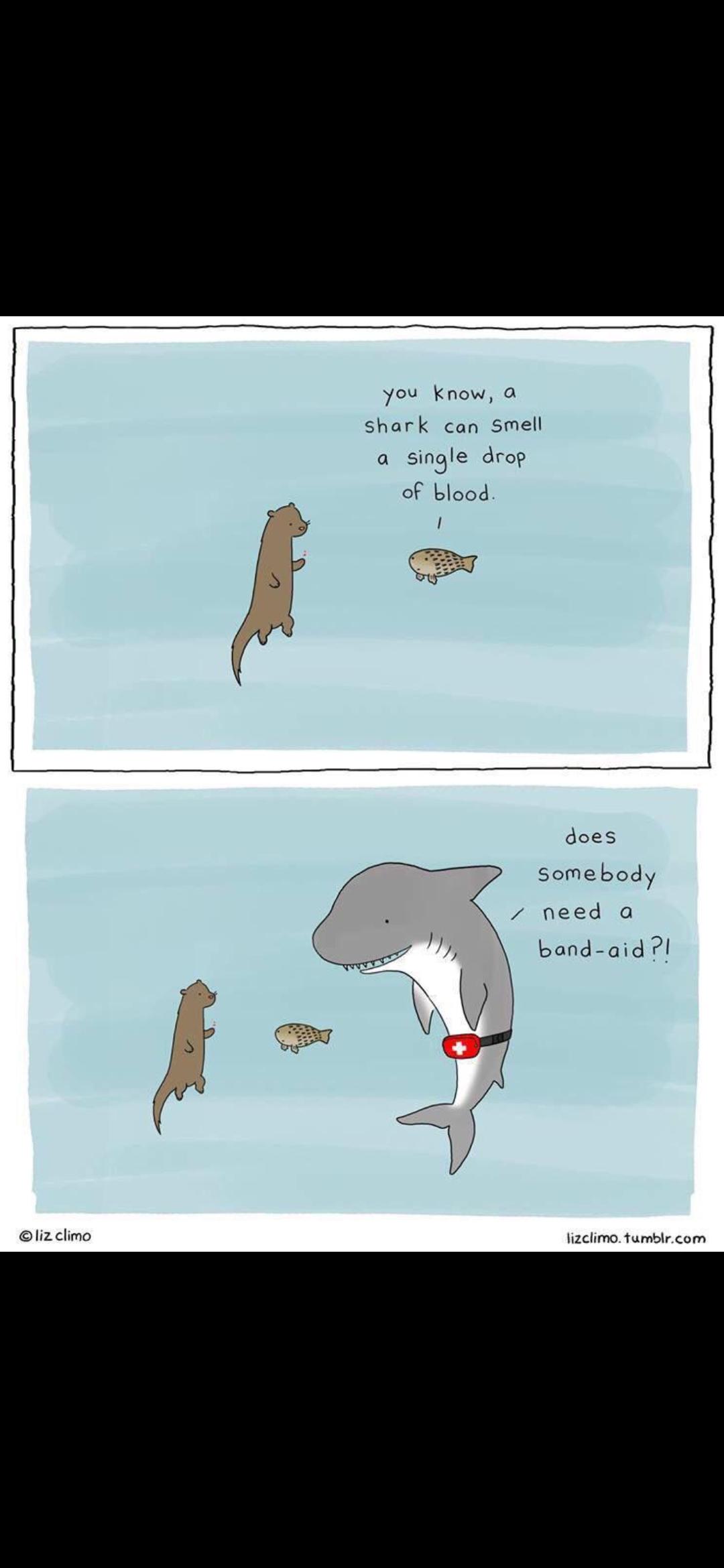 cute wholesome-memes cute text: @liz climo you know, a shark can smell a single drop of blood. 1 does some body / need a band-aid PI lizclimo.tumblr.com 