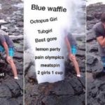 dank-memes cute text: 12-year- -the internet Blue waffle Octopus Girl Tubgirl Best gore c lemon party pain olympics meatspin 2 girls 1 cup  Dank Meme
