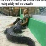 boomer-memes boomer text: One of the most dangerous animals in the world resting quietly next to a crocodile,  boomer