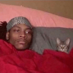 Man in bed with cat Black Twitter meme template blank