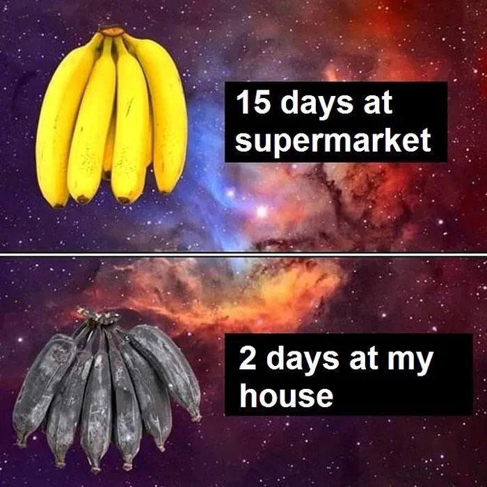 dank other-memes dank text: 15 days at supermarket 2 days at my house 