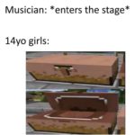 minecraft-memes minecraft text: Musician: *enters the stage* 14yo girls:  minecraft